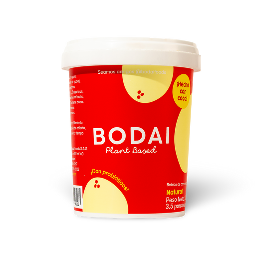 Yogurt Familiar Natural